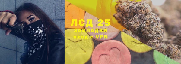 стаф Баксан