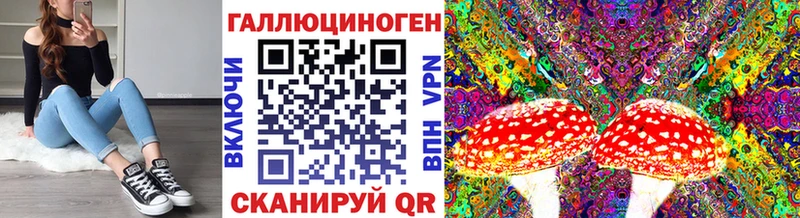даркнет сайт  Верея  Галлюциногенные грибы MAGIC MUSHROOMS 